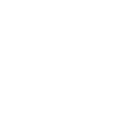 Litchi tree